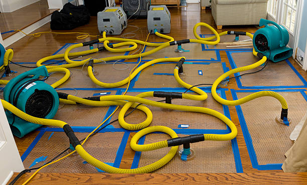 Professional Water Damage Restoration technician working in Groesbeck, TX